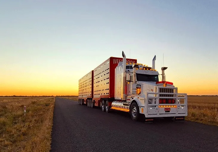 ما هي مصابيح التحذير في حالات الطوارئ التجارية للمركبات ؟